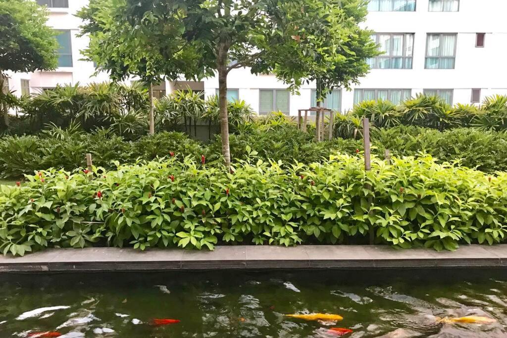 Condo In Imago Mall 亚庇最大商场imago楼里公寓 코타키나발루에서가장큰쇼핑센터아파트 Kota Kinabalu Exterior foto